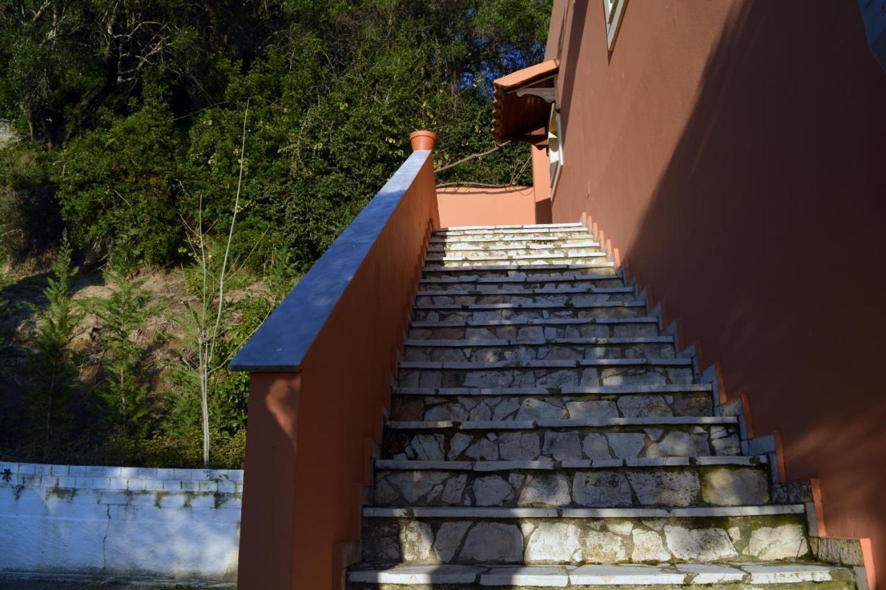 Papadatos Apts With Amazing View - 5Mins From The Beach Kontogialos Екстер'єр фото